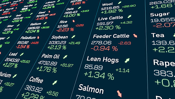 Equity & Stock Portfolios